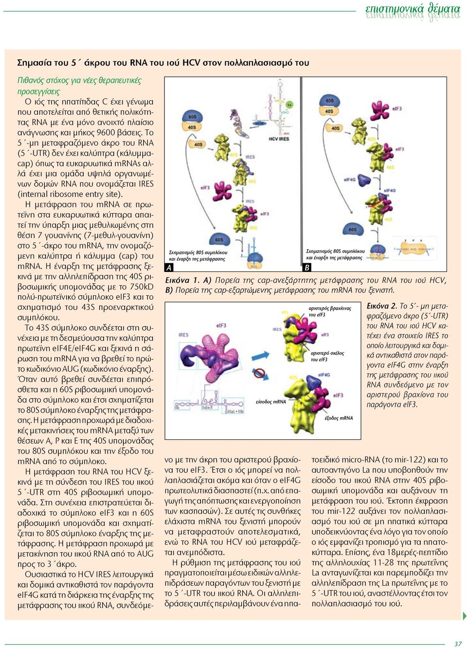 ΙΙb ΙΙd/e/f ΙΙIa/c + IIIb είσοδος mrna Σχηματισμός 80S συμπλόκου και έναρξη της μετάφρασης αριστερός βραχίονας του elf3 αριστερό σκέλος του elf3 έξοδος mrna Εικόνα 2.