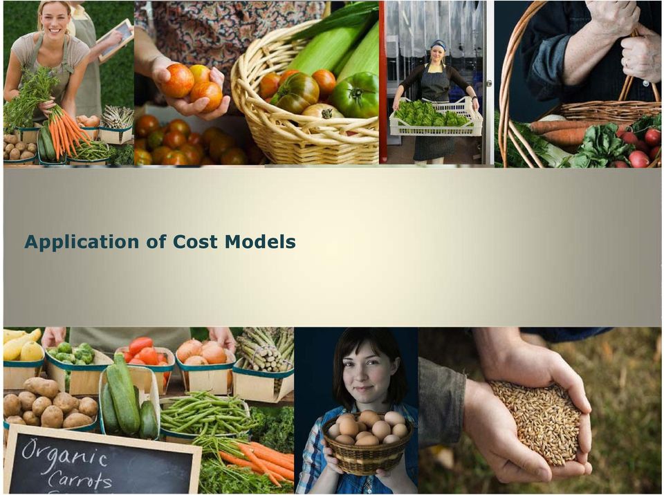 Application of Cost Models
