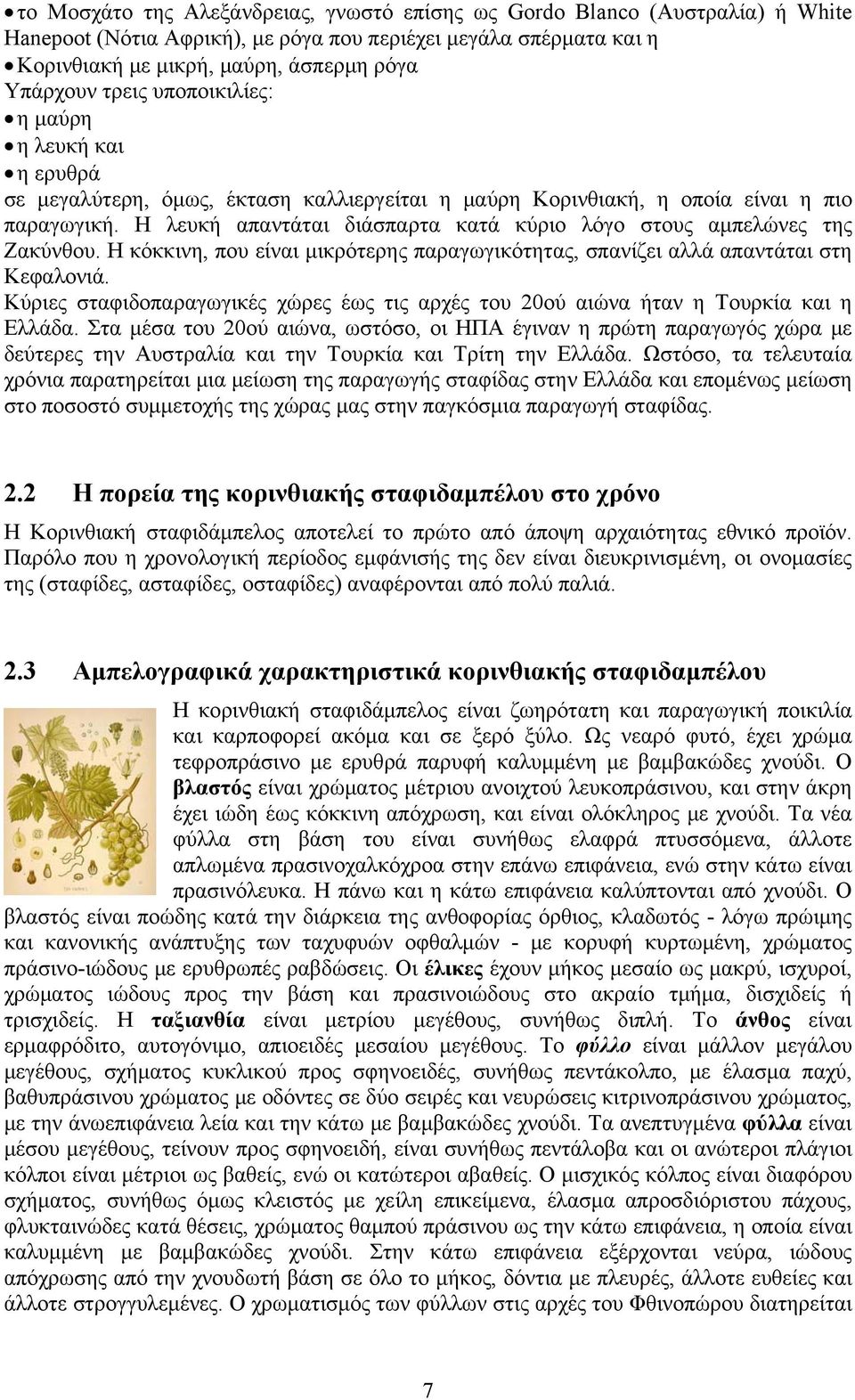 Η λευκή απαντάται διάσπαρτα κατά κύριο λόγο στους αμπελώνες της Ζακύνθου. Η κόκκινη, που είναι μικρότερης παραγωγικότητας, σπανίζει αλλά απαντάται στη Κεφαλονιά.