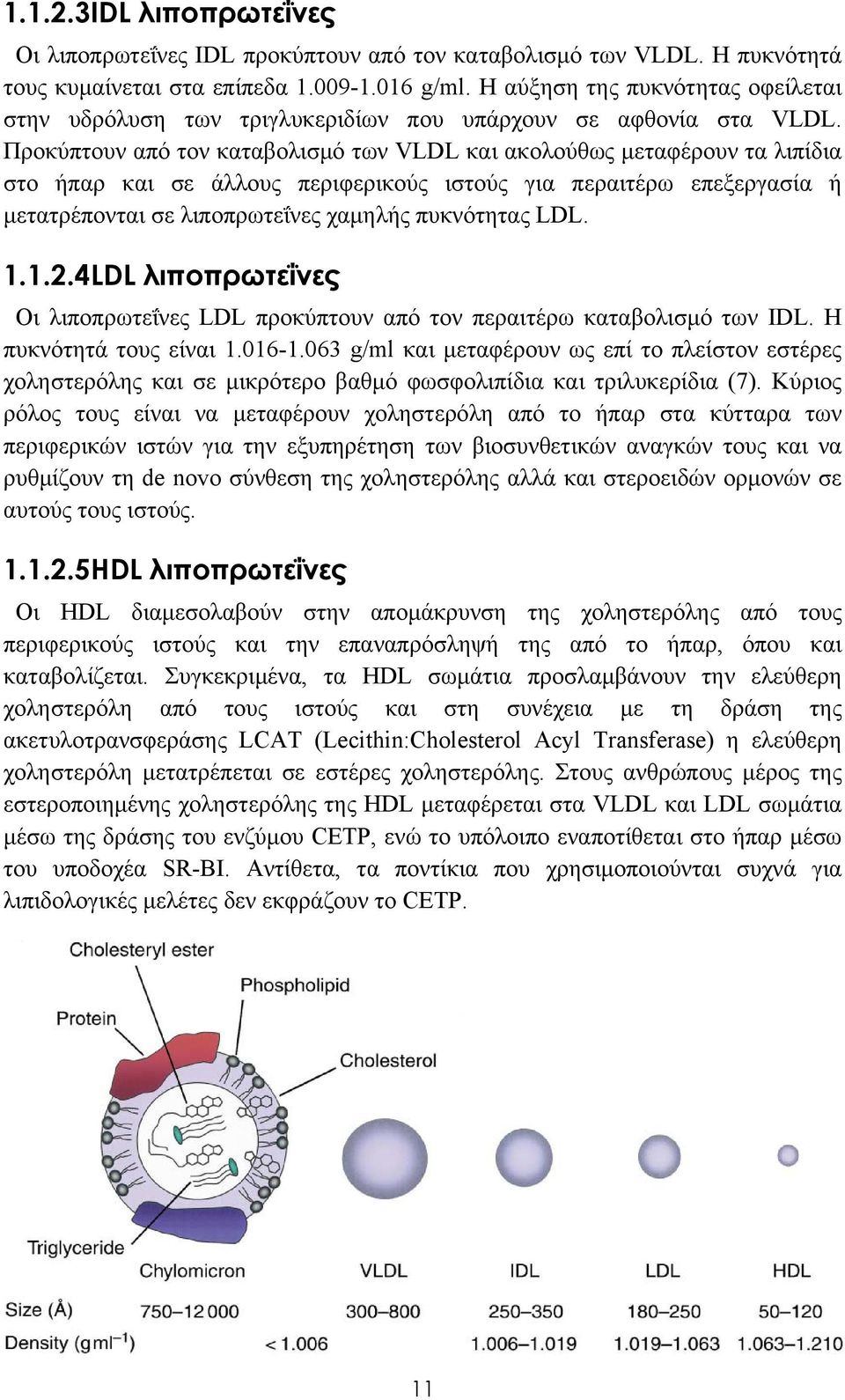 Προκύπτουν από τον καταβολισμό των VLDL και ακολούθως μεταφέρουν τα λιπίδια στο ήπαρ και σε άλλους περιφερικούς ιστούς για περαιτέρω επεξεργασία ή μετατρέπονται σε λιποπρωτεΐνες χαμηλής πυκνότητας