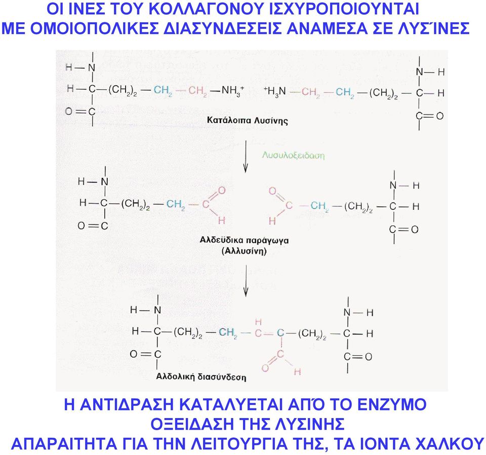 ΑΝΤΙΔΡΑΣΗ ΚΑΤΑΛΥΕΤΑΙ ΑΠΌ ΤΟ ΕΝΖΥΜΟ ΟΞΕΙΔΑΣΗ ΤΗΣ