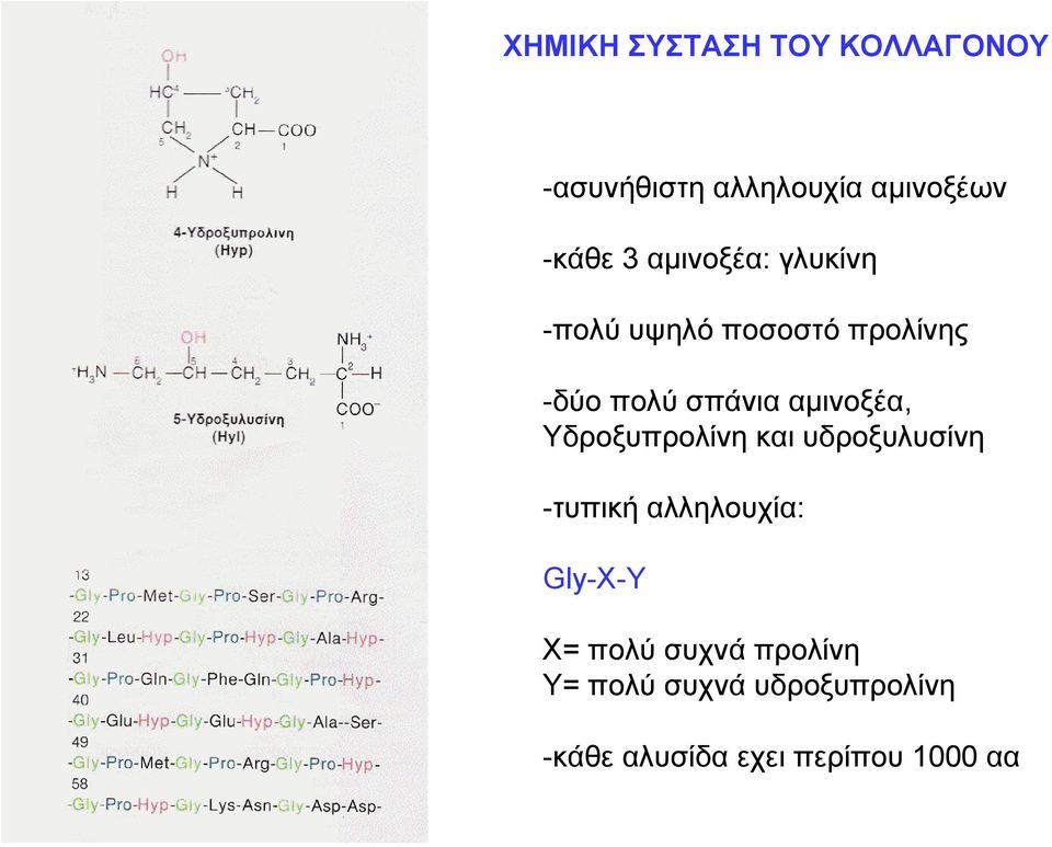 αμινοξέα, Υδροξυπρολίνη και υδροξυλυσίνη -τυπική αλληλουχία: Gly-X-Y X=