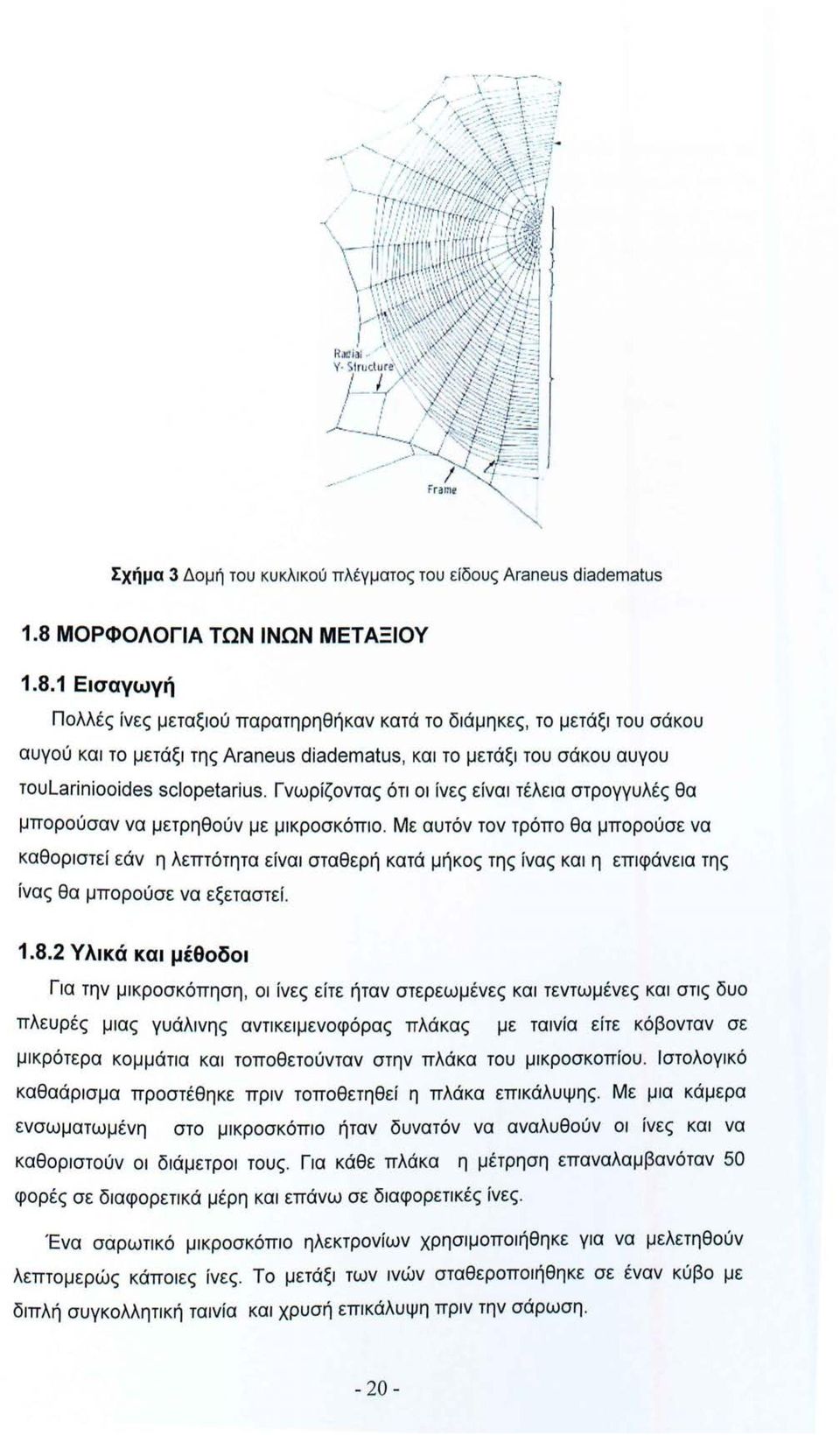 1 Εισαγωγή Πολλές ίνες μεταξιού παρατηρηθήκαν κατά το διάμηκες, το μετάξι του σάκου αυγού και το μετάξι της Araneus diadematus, και το μετάξι του σάκου αυγου τoυlariniooides sclopetarius.