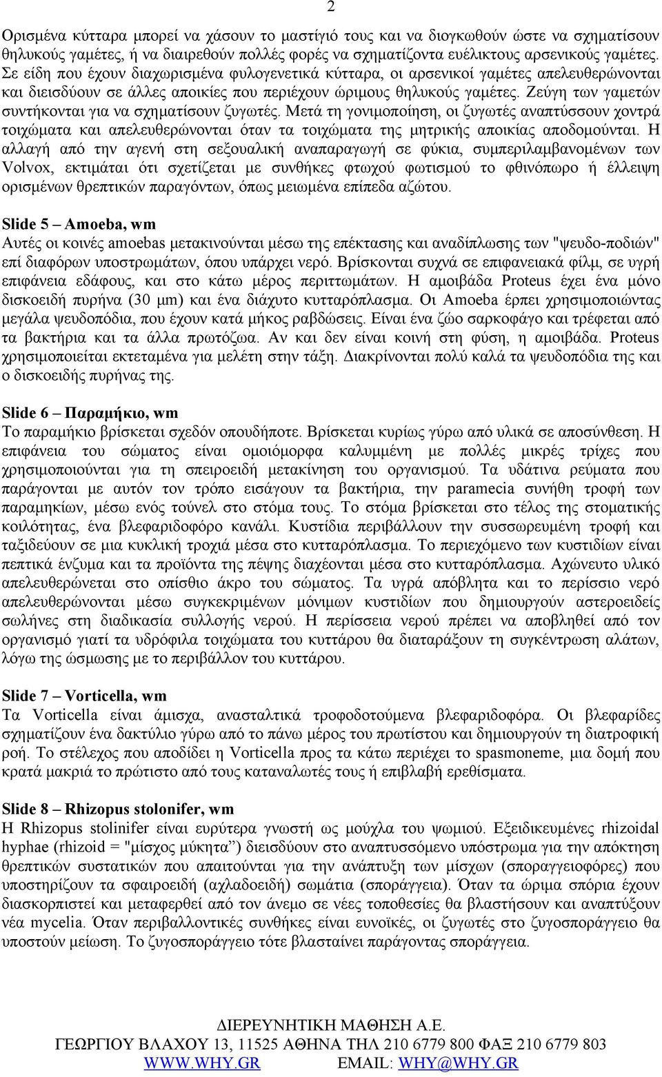 Ζεύγη των γαμετών συντήκονται για να σχηματίσουν ζυγωτές. Μετά τη γονιμοποίηση, οι ζυγωτές αναπτύσσουν χοντρά τοιχώματα και απελευθερώνονται όταν τα τοιχώματα της μητρικής αποικίας αποδομούνται.