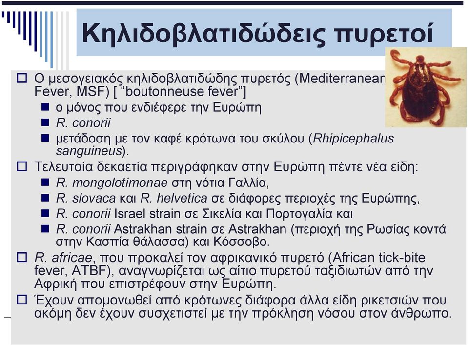 helvetica σε διάφορες περιοχές της Ευρώπης, R. conorii Israel strain σε Σικελία και Πορτογαλία και R. conorii Astrakhan strain σε Astrakhan (περιοχή της Ρωσίας κοντά στην Κασπία θάλασσα) και Κόσσοβο.