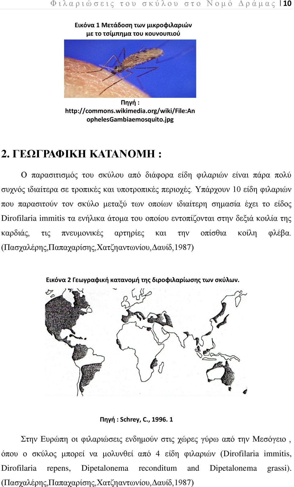 Υπάρχουν 10 είδη φιλαριών που παρασιτούν τον σκύλο μεταξύ των οποίων ιδιαίτερη σημασία έχει το είδος Dirofilaria immitis τα ενήλικα άτομα του οποίου εντοπίζονται στην δεξιά κοιλία της καρδιάς, τις