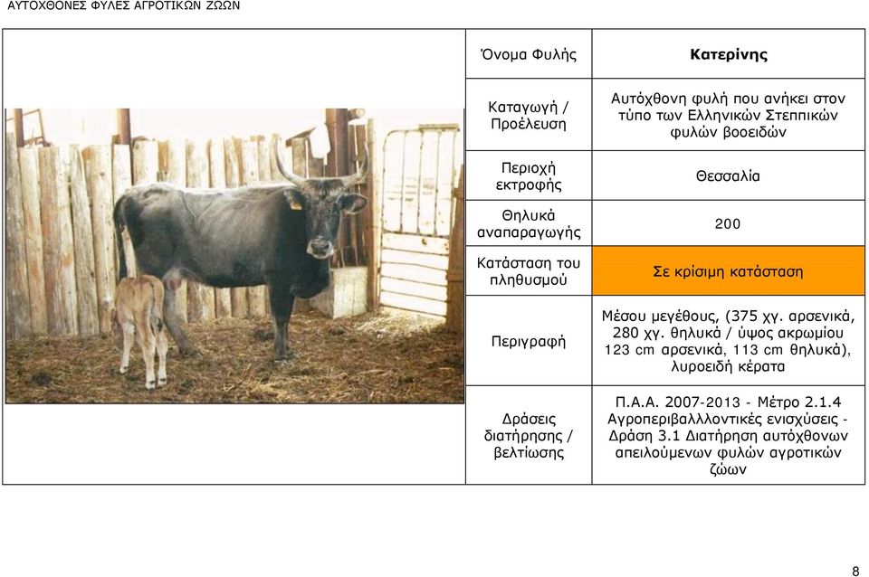 αξζεληθά, 280 ργ. ζειπθά / ύςνο αθξσκίνπ 123 cm αξζεληθά, 113 cm ζειπθά), ιπξνεηδή θέξαηα Ξ.Α.