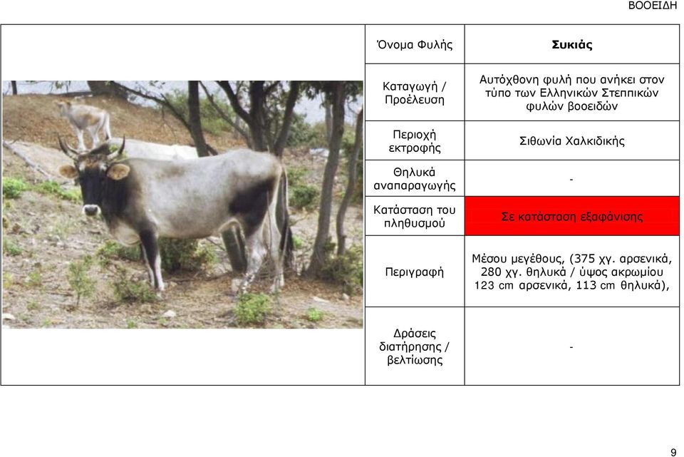 θαηάζηαζε εμαθάληζεο Κέζνπ κεγέζνπο, (375 ργ.