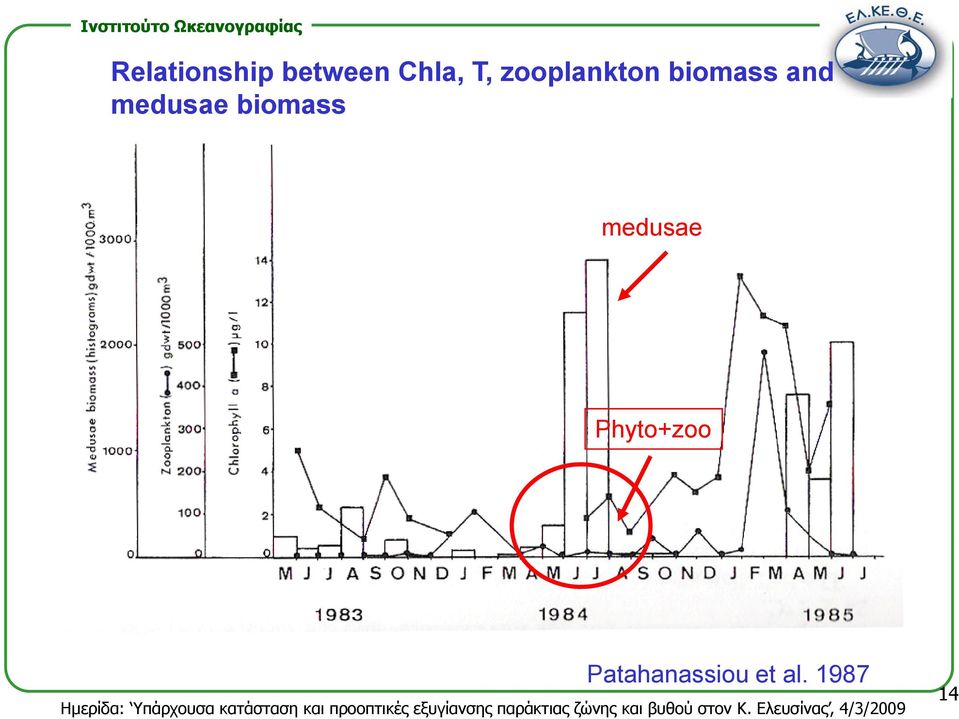 medusae biomass medusae