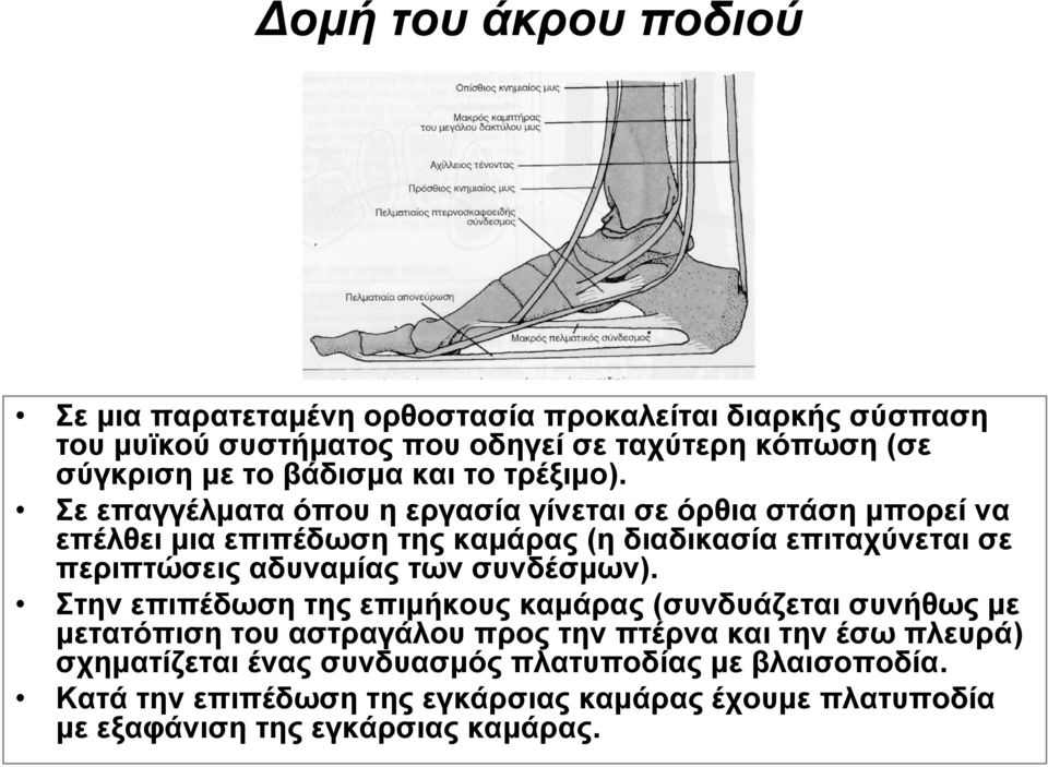 Σε επαγγέλματα όπου η εργασία γίνεται σε όρθια στάση μπορεί να επέλθει μια επιπέδωση της καμάρας (η διαδικασία επιταχύνεται σε περιπτώσεις αδυναμίας των