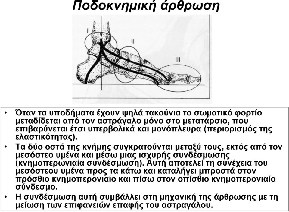 Τα δύο οστά της κνήμης συγκρατούνται μεταξύ τους, εκτός από τον μεσόστεο υμένα και μέσω μιας ισχυρής συνδέσμωσης (κνημοπερωνιαία συνδέσμωση).