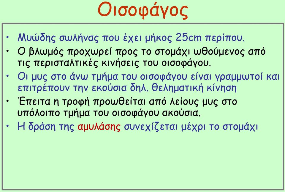 Οι μυς στο άνω τμήμα του οισοφάγου είναι γραμμωτοί και επιτρέπουν την εκούσια δηλ.