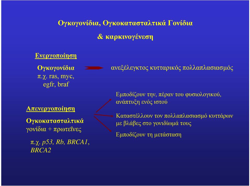 p53, Rb, BRCA1, BRCA2 ανεξέλεγκτος κυτταρικός πολλαπλασιασµός Εµποδίζουν την, πέραν του