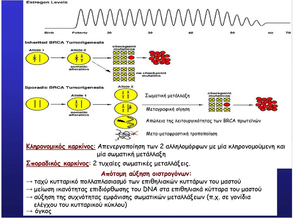 µεταλλάξεις.