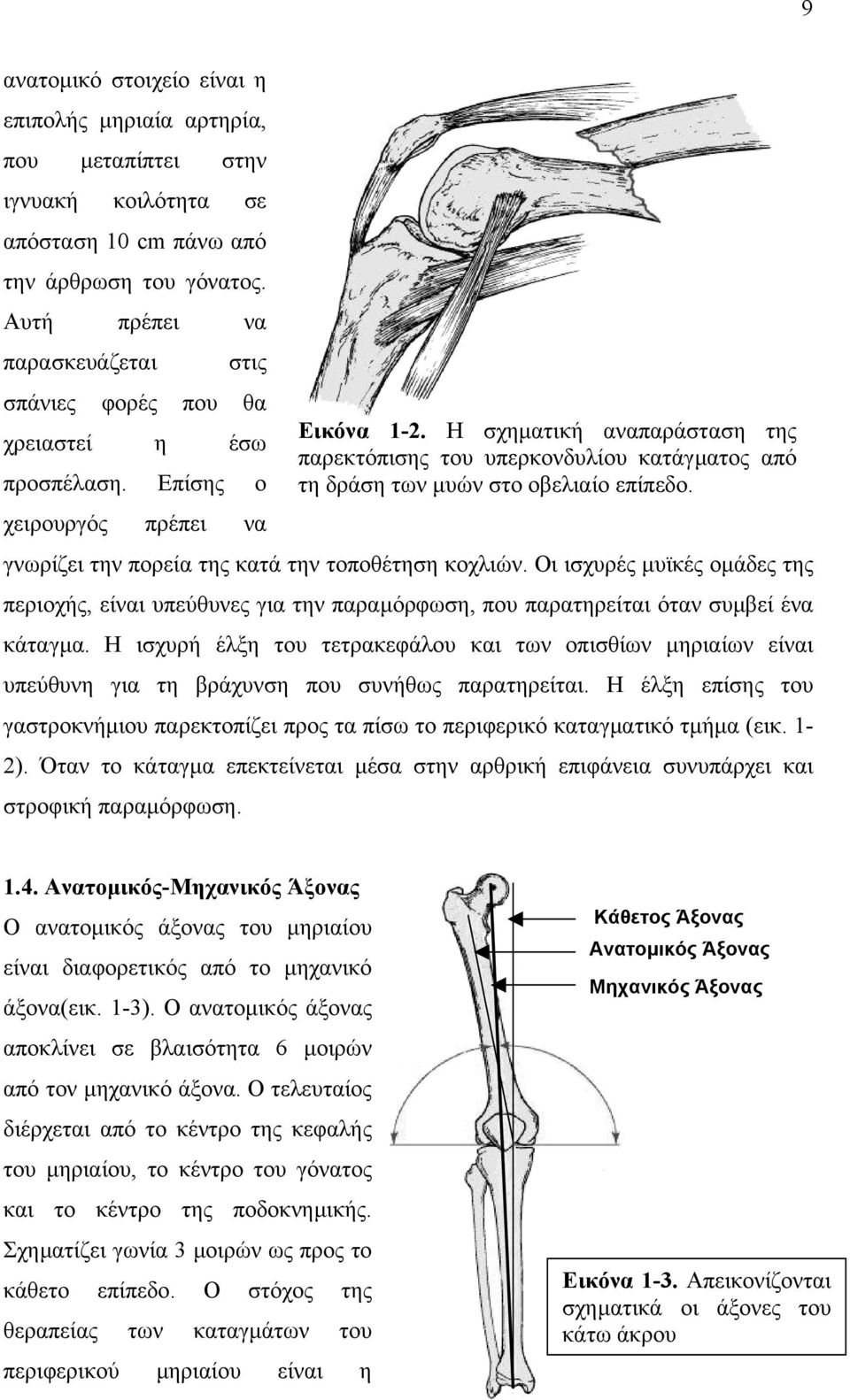 Οι ισχυρές µυϊκές οµάδες της περιοχής, είναι υπεύθυνες για την παραµόρφωση, που παρατηρείται όταν συµβεί ένα κάταγµα.