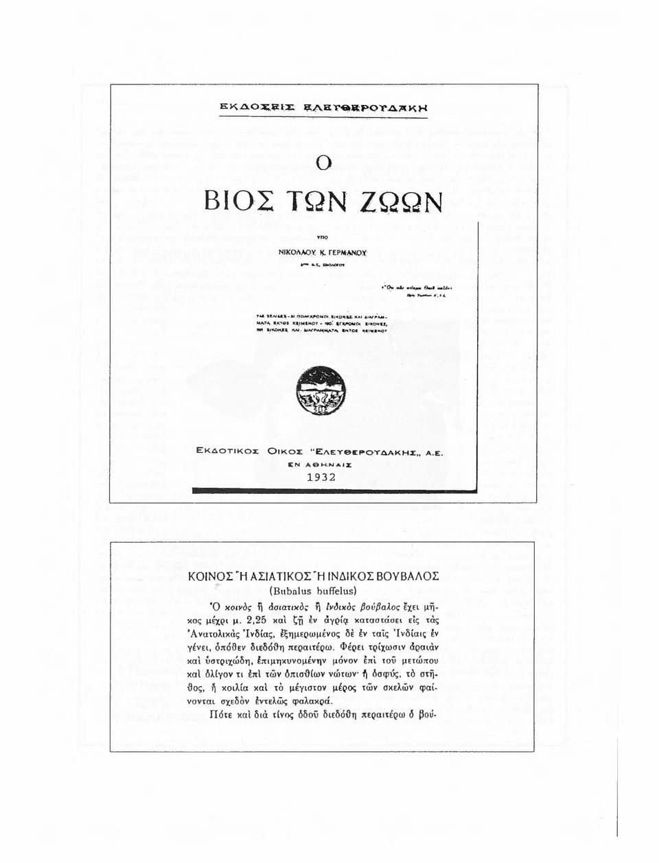 Ν Α Ι Ζ 1932 Κ Ο ΙΝ Ο Σ Ή Α ΣΙΑ Τ ΙΚ Ο Σ Ή ΙΝ Δ ΙΚ Ο Σ Β Ο Υ Β Α Λ Ο Σ (Βιώαίιιε bultelus) Ό κοινός ή άοιατικός η άδικός βούβαλος έχει μήκος μέχρι μ.