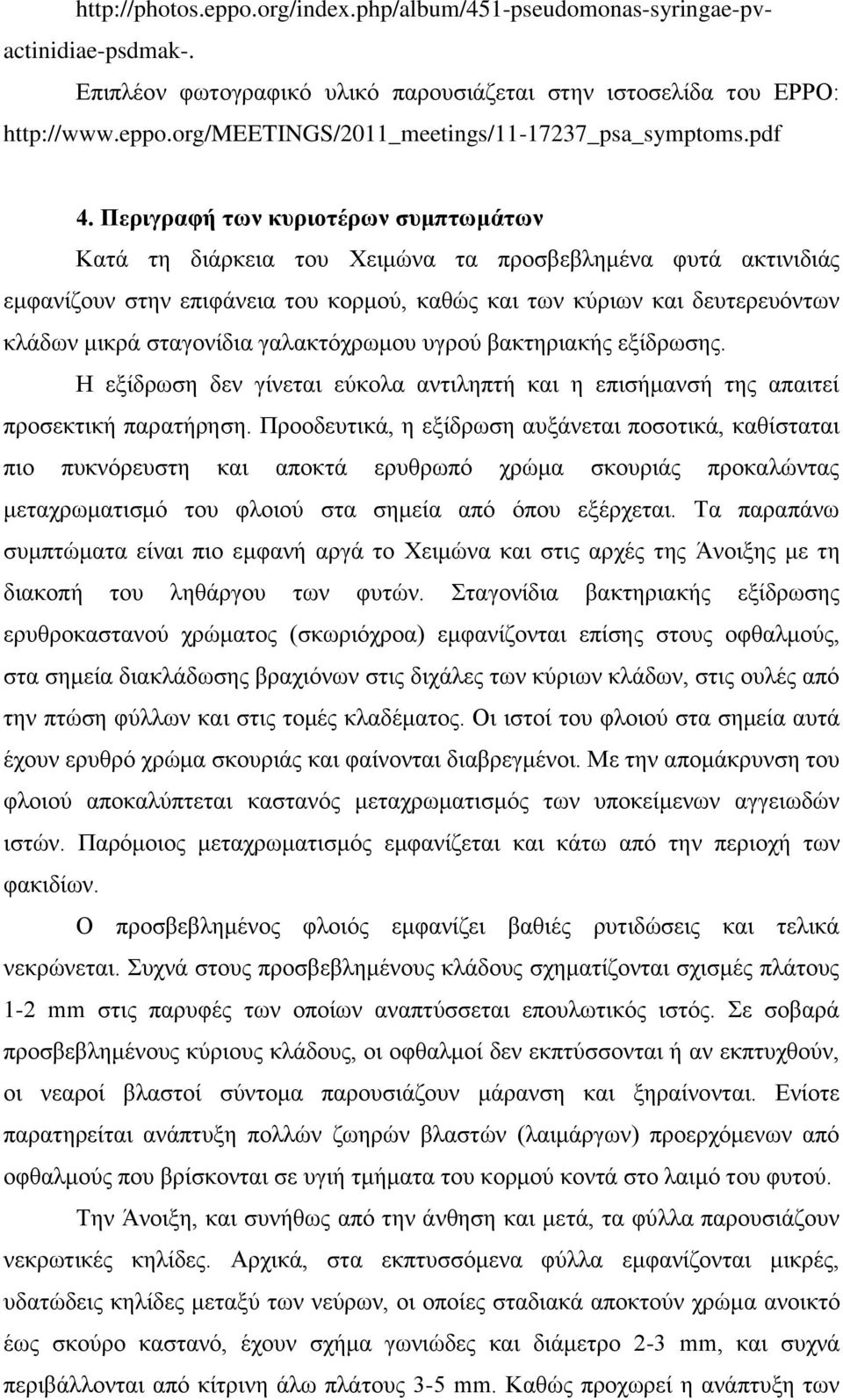 Περιγραθή ηων κσριοηέρων ζσμπηωμάηων Καηά ηε δηάξθεηα ηνπ Χεηκώλα ηα πξνζβεβιεκέλα θπηά αθηηληδηάο εκθαλίδνπλ ζηελ επηθάλεηα ηνπ θνξκνύ, θαζώο θαη ησλ θύξησλ θαη δεπηεξεπόλησλ θιάδσλ κηθξά ζηαγνλίδηα