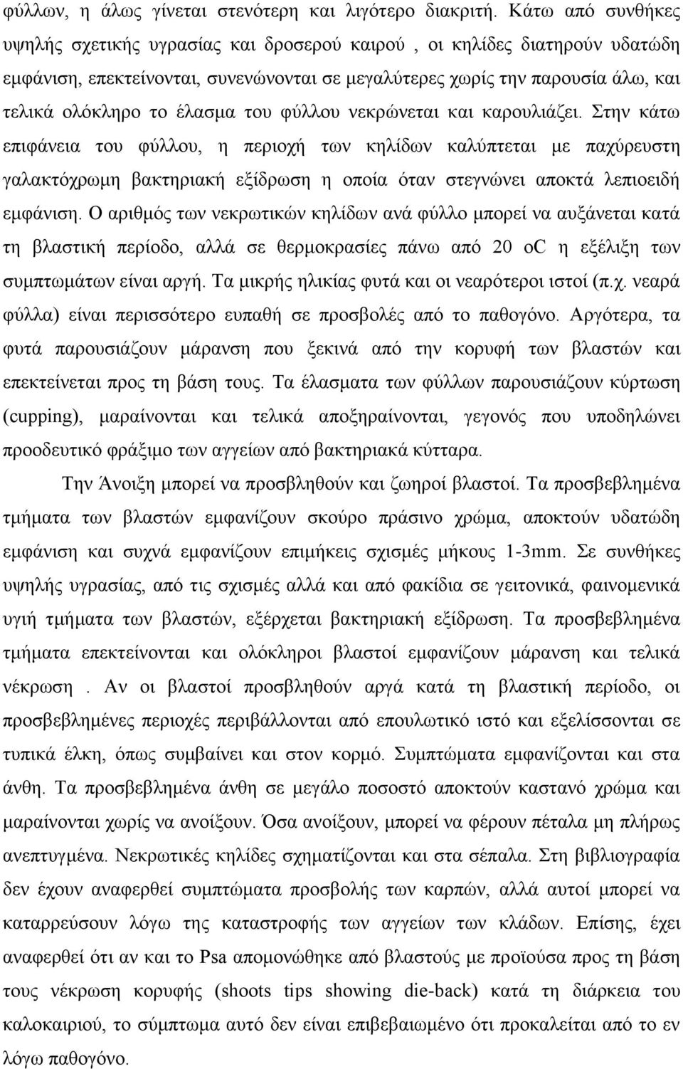 ηνπ θύιινπ λεθξώλεηαη θαη θαξνπιηάδεη. Σηελ θάησ επηθάλεηα ηνπ θύιινπ, ε πεξηνρή ησλ θειίδσλ θαιύπηεηαη κε παρύξεπζηε γαιαθηόρξσκε βαθηεξηαθή εμίδξσζε ε νπνία όηαλ ζηεγλώλεη απνθηά ιεπηνεηδή εκθάληζε.