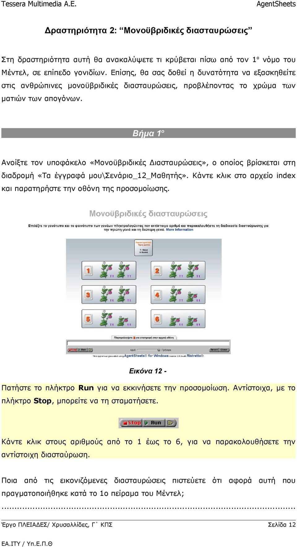 Βήμα 1ο Ανοίξτε τον υποφάκελο «Μονοϋβριδικές Διασταυρώσεις», ο οποίος βρίσκεται στη διαδρομή «Τα έγγραφά μου\σενάριο_12_μαθητής».