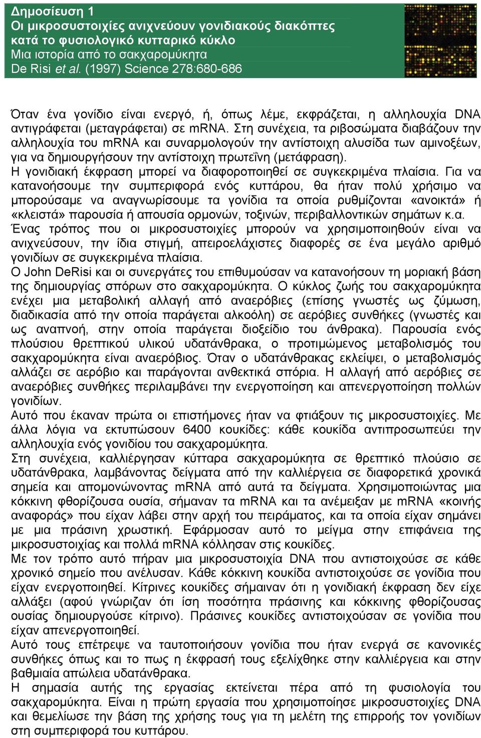 Στη συνέχεια, τα ριβοσώματα διαβάζουν την αλληλουχία του mrna και συναρμολογούν την αντίστοιχη αλυσίδα των αμινοξέων, για να δημιουργήσουν την αντίστοιχη πρωτεΐνη (μετάφραση).