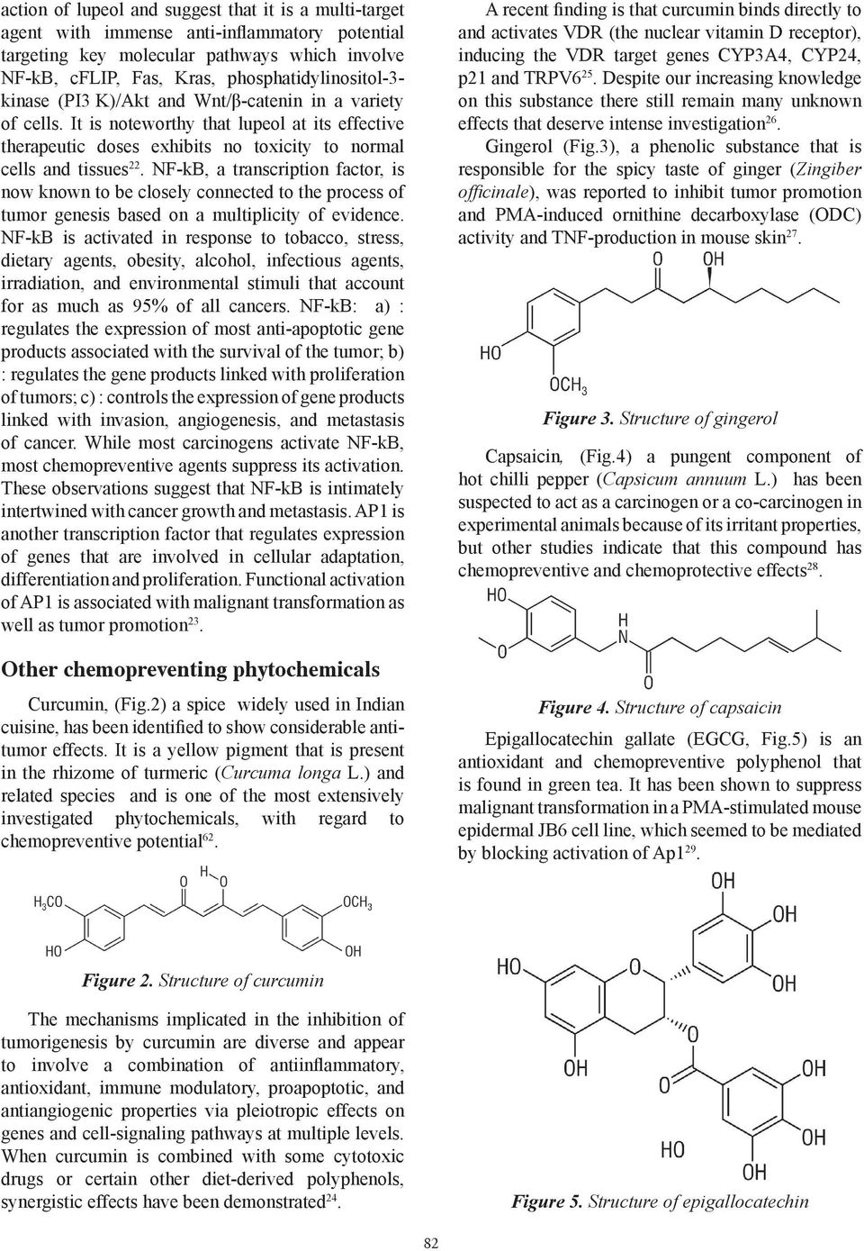 NF-kB, a transcription factor, is now known to be closely connected to the process of tumor genesis based on a multiplicity of evidence.