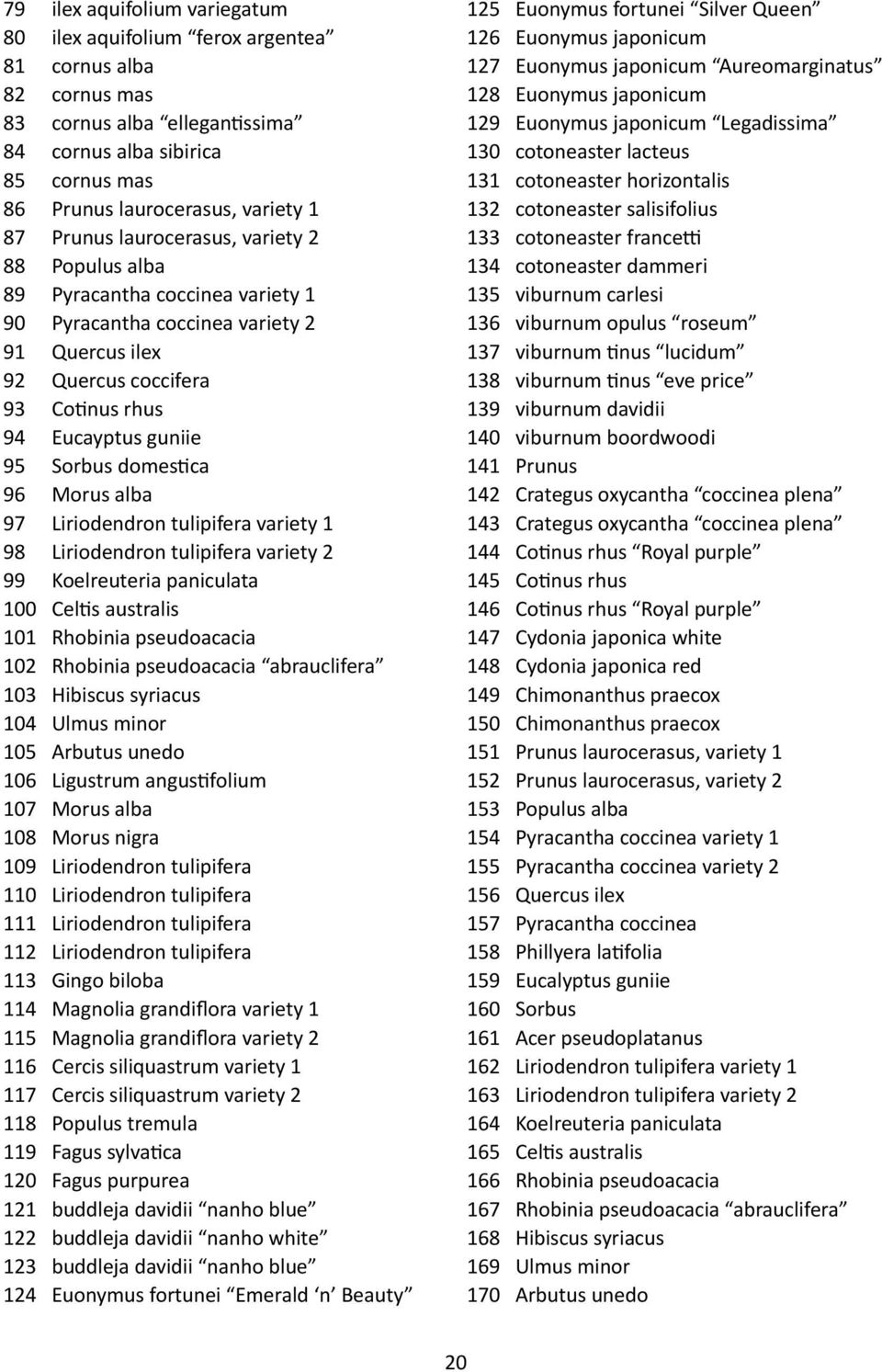 domestica 96 Morus alba 97 Liriodendron tulipifera variety 1 98 Liriodendron tulipifera variety 2 99 Koelreuteria paniculata 100 Celtis australis 101 Rhobinia pseudoacacia 102 Rhobinia pseudoacacia