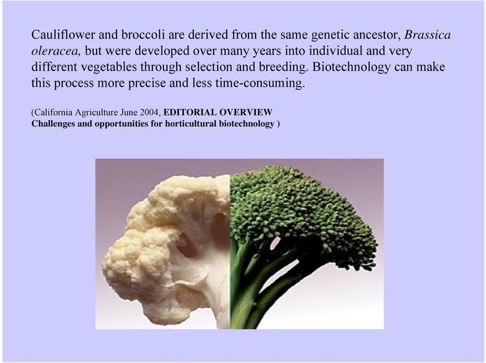 breeding. Biotechnology can make this process more precise and less time-consuming.