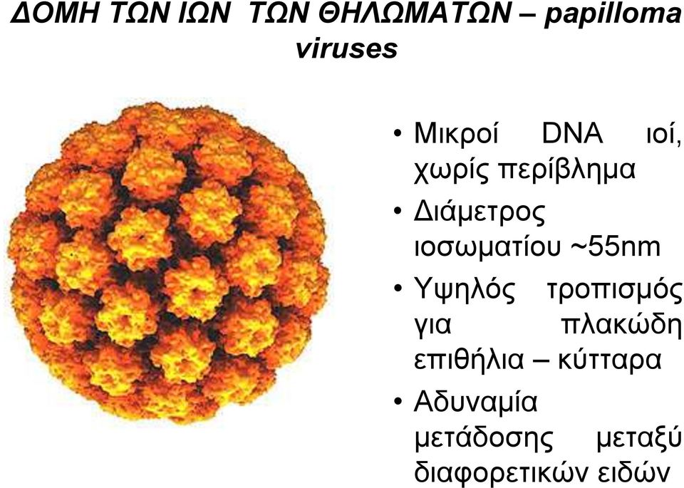 ιοζυμαηίος ~55nm Ττηλόρ ηποπιζμόρ για πλακώδη