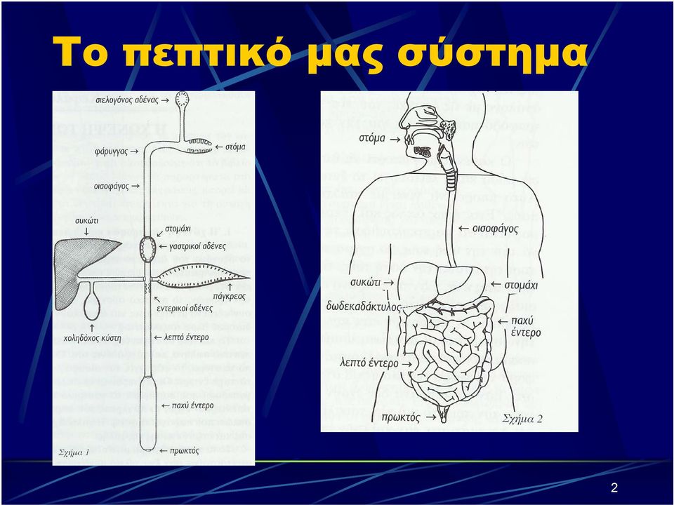 μας