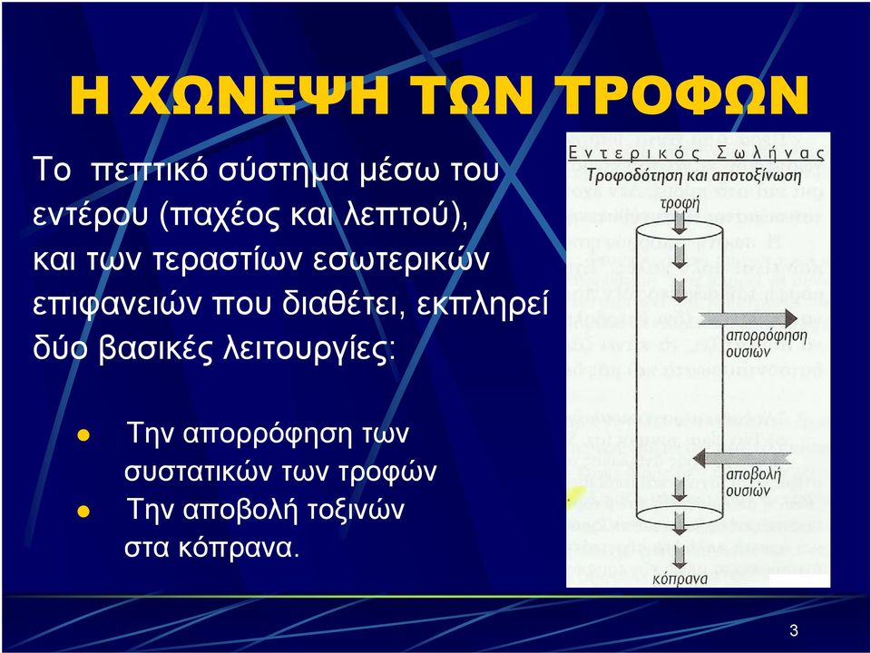 επιφανειών που διαθέτει, εκπληρεί δύο βασικές λειτουργίες: