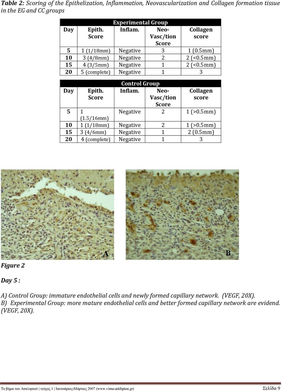 Score Control Group Inflam. Neo- Collagen Vasc/tion score Score Negative 2 1 (>0.5mm) 5 1 (1.5/16mm) 10 1 (1/18mm) Negative 2 1 (>0.5mm) 15 3 (4/6mm) Negative 1 2 (0.