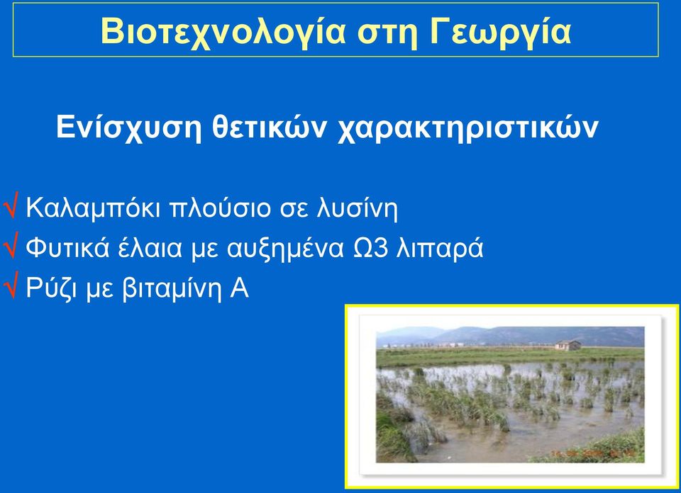 πλούσιο σε λυσίνη Φυτικά έλαια με