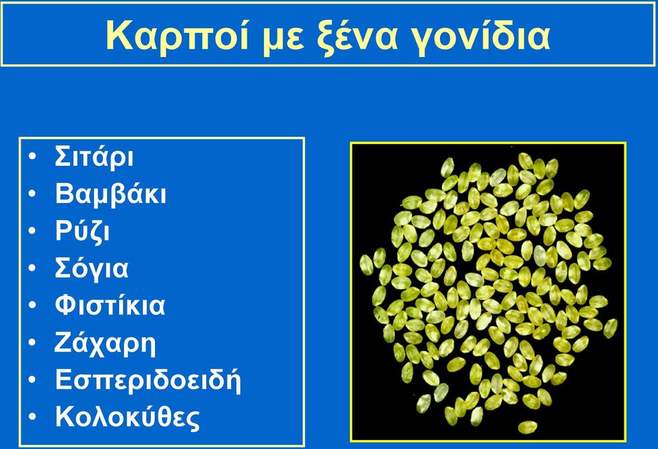 Βαμβάκι Ρύζι Σόγια