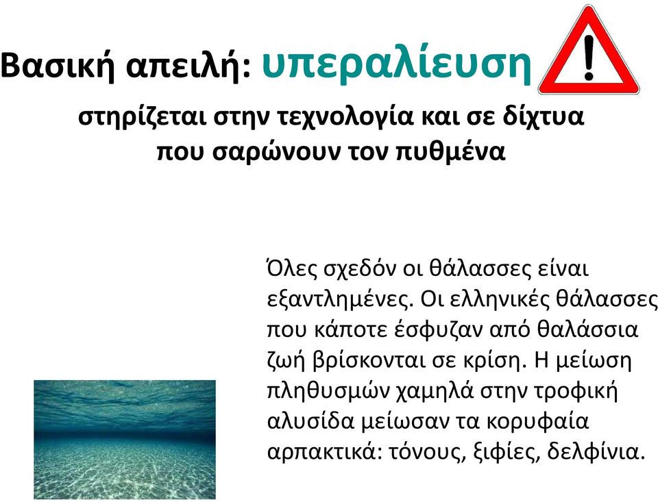 Οι ελληνικές θάλασσες που κάποτε έσφυζαν από θαλάσσια ζωή βρίσκονται σε κρίση.