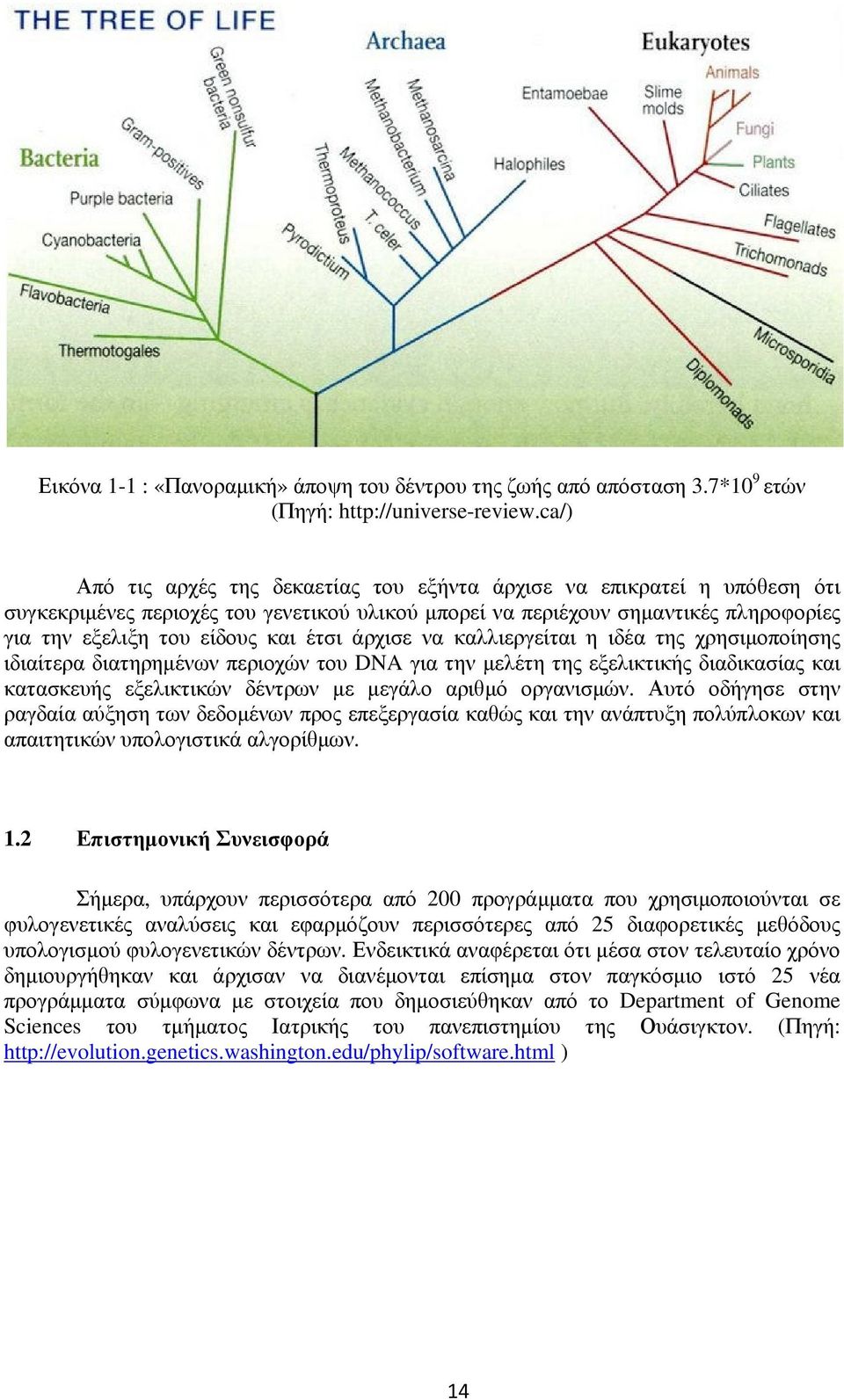 έτσι άρχισε να καλλιεργείται η ιδέα της χρησιµοποίησης ιδιαίτερα διατηρηµένων περιοχών του DNA για την µελέτη της εξελικτικής διαδικασίας και κατασκευής εξελικτικών δέντρων µε µεγάλο αριθµό