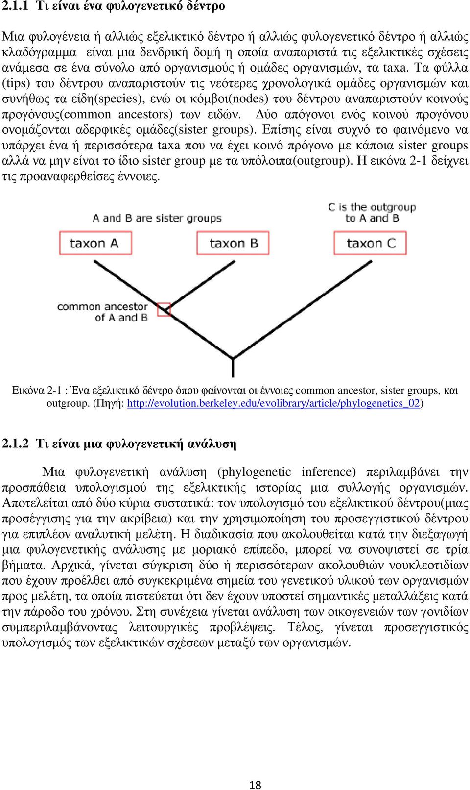 Τα φύλλα (tips) του δέντρου αναπαριστούν τις νεότερες χρονολογικά οµάδες οργανισµών και συνήθως τα είδη(species), ενώ οι κόµβοι(nodes) του δέντρου αναπαριστούν κοινούς προγόνους(common ancestors) των