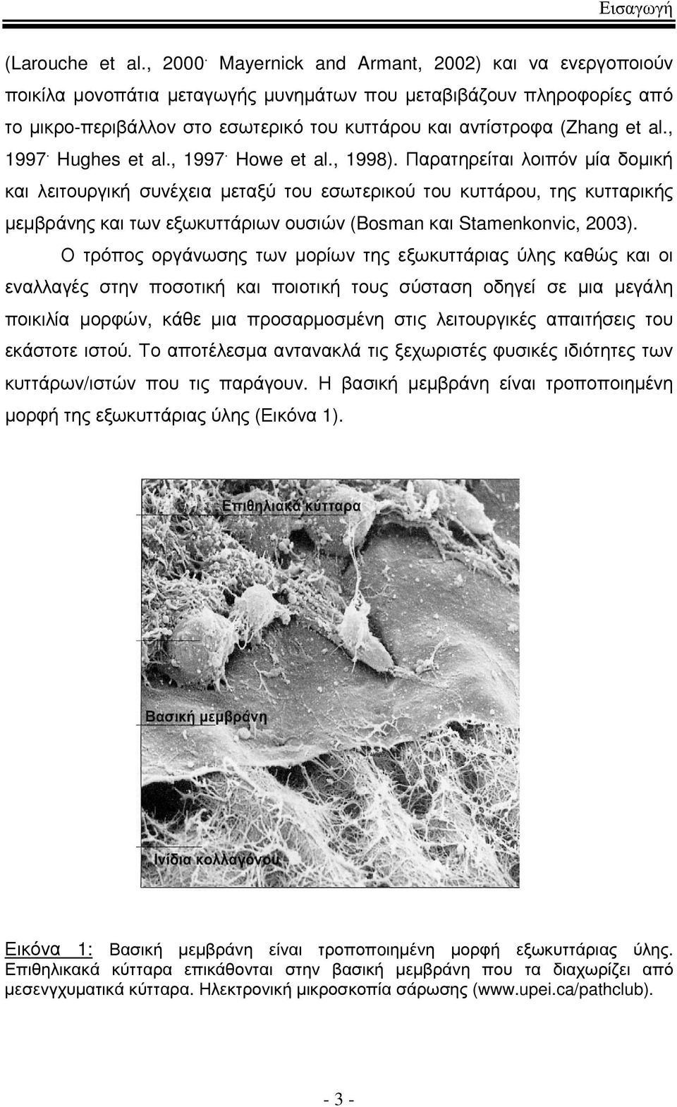 , 1997. Hughes et al., 1997. Howe et al., 1998).