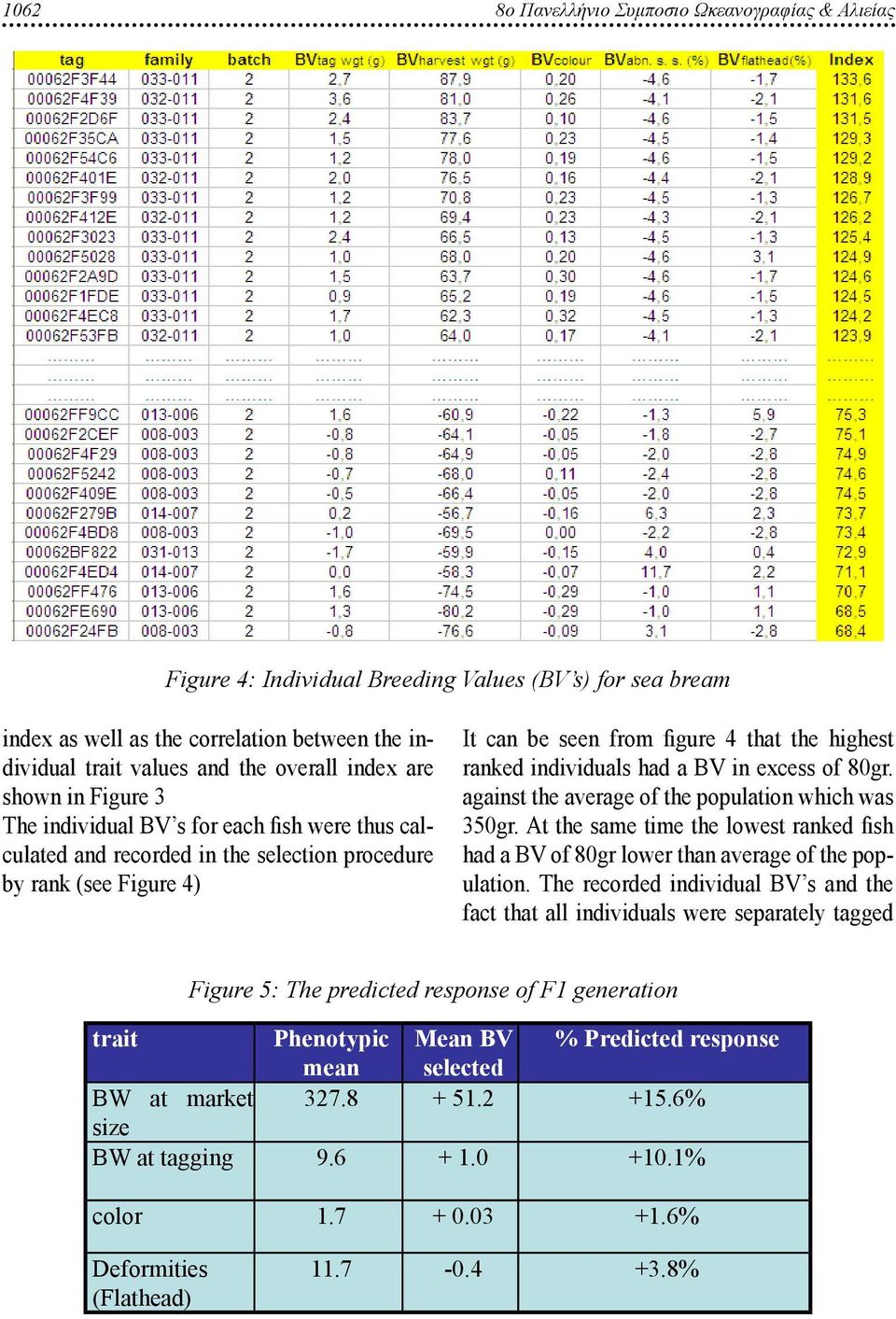 individuals had a BV in excess of 80gr. against the average of the population which was 350gr. At the same time the lowest ranked fish had a BV of 80gr lower than average of the population.