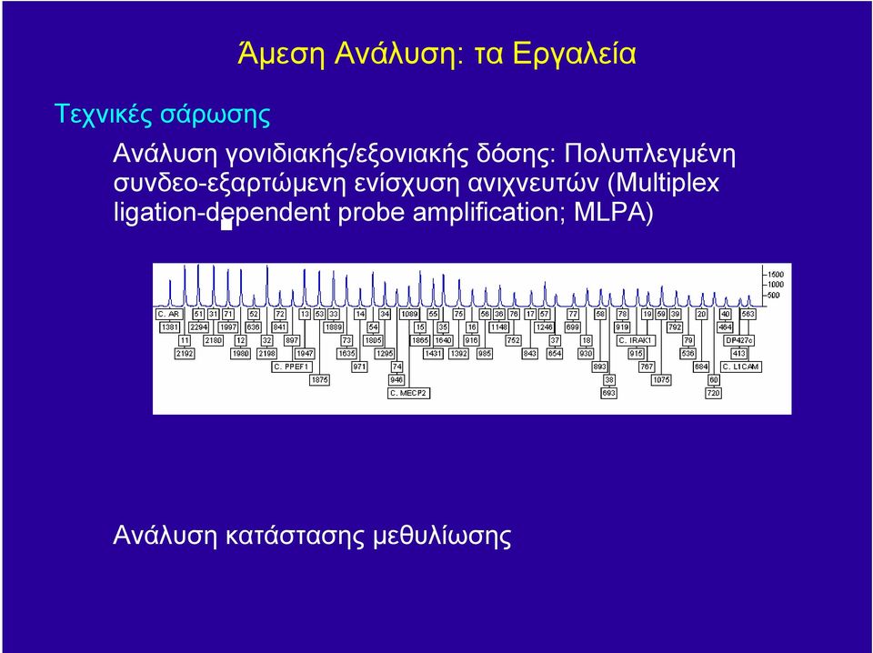 συνδεο-εξαρτώµενη ενίσχυση ανιχνευτών (Multiplex