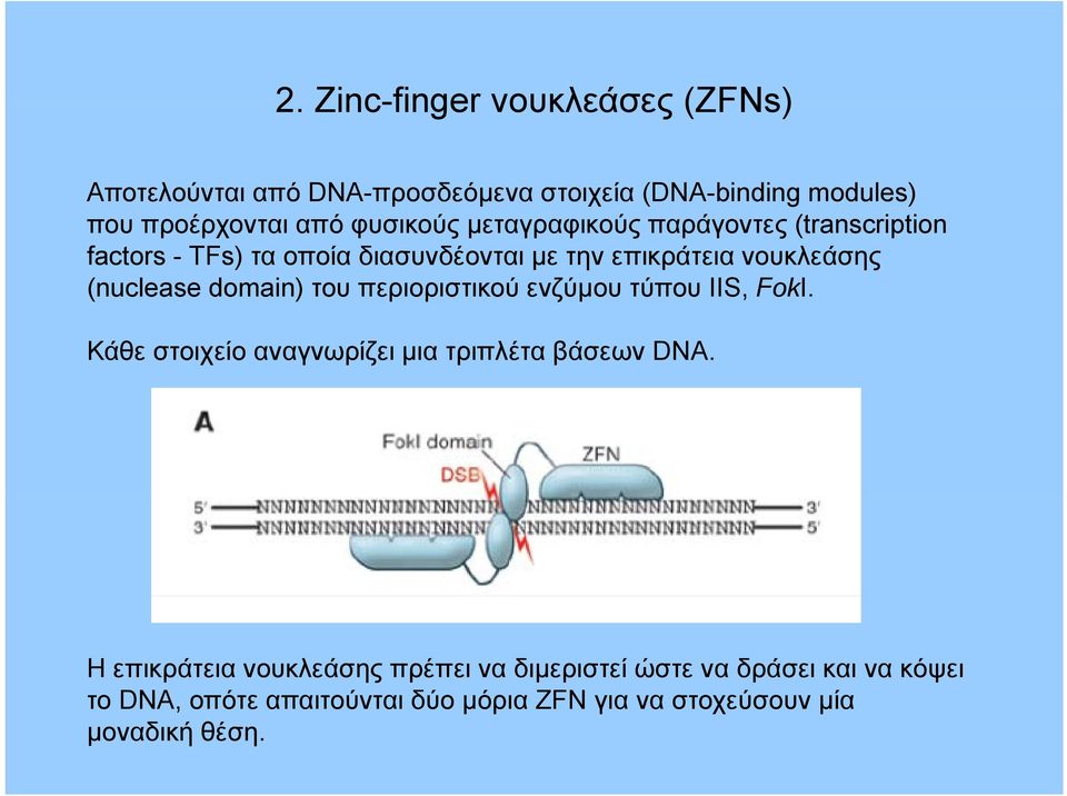 (nuclease domain) του περιοριστικού ρ ενζύμου τύπου IIS, FokI. Κάθε στοιχείο αναγνωρίζει μια τριπλέτα βάσεων DNA.