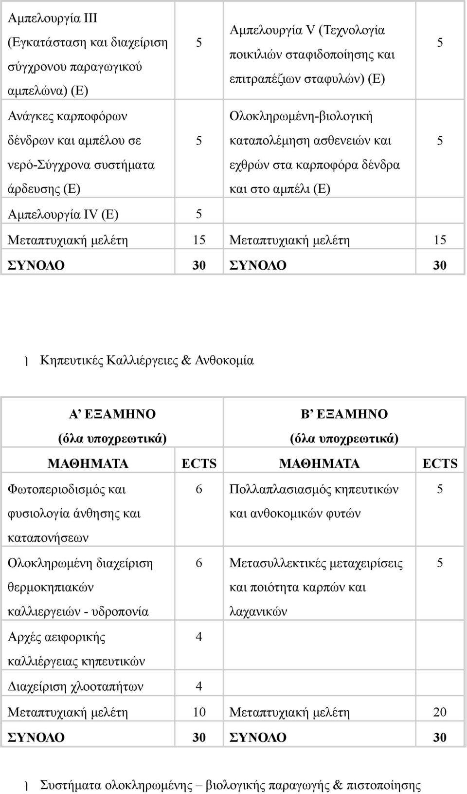 Μεταπτυχιακή µελέτη 15 ΣΥΝΟΛΟ 30 ΣΥΝΟΛΟ 30 Κηπευτικές Καλλιέργειες & Ανθοκοµία Α ΕΞΑΜΗΝΟ (όλα υποχρεωτικά) Β ΕΞΑΜΗΝΟ (όλα υποχρεωτικά) ΜΑΘΗΜΑΤΑ ECTS ΜΑΘΗΜΑΤΑ ECTS Φωτοπεριοδισµός και 6