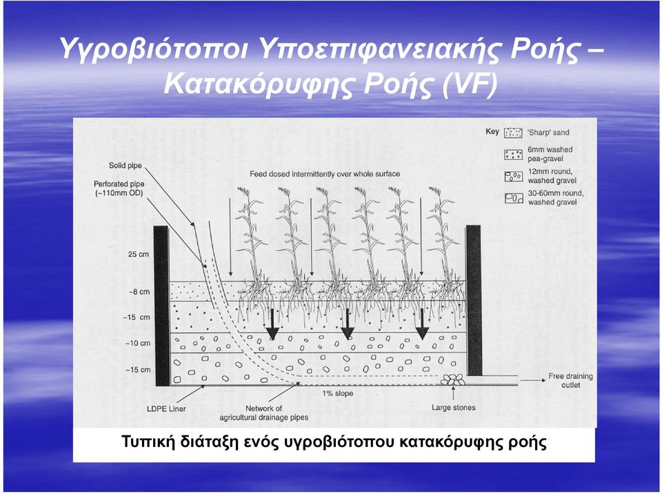 Κατακόρυφης Ροής (VF)