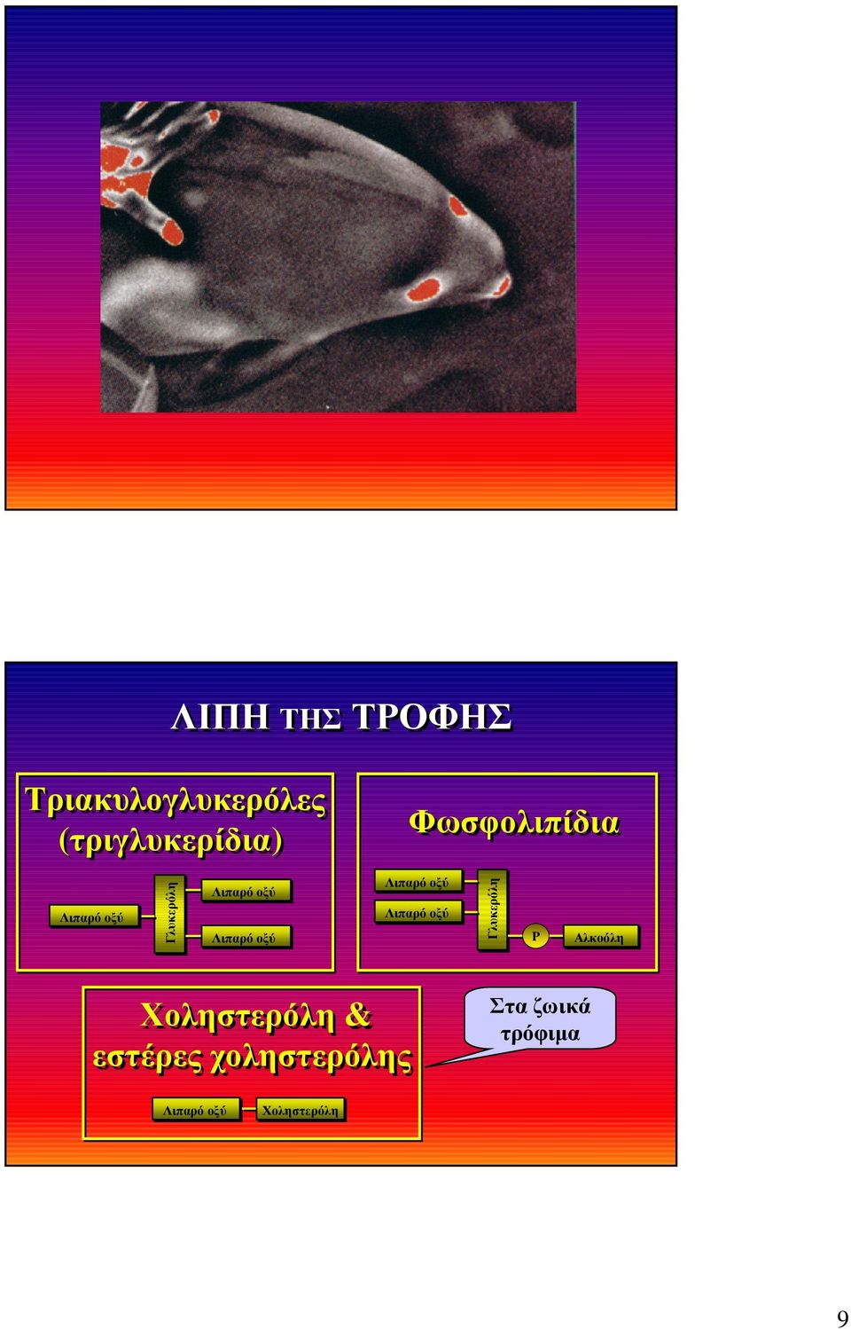 οξύ Λιπαρό οξύ Γλυκερόλη P Αλκοόλη Χοληστερόλη & εστέρες