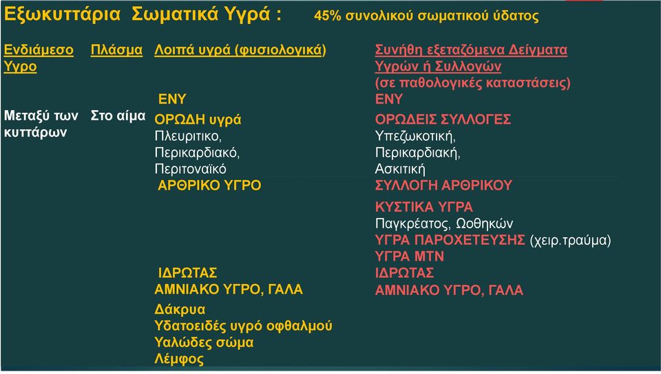 Περιτοναϊκό ΑΡΘΡΙΚΟ ΥΓΡΟ Ι ΡΩΤΑΣ ΑΜΝΙΑΚΟ ΥΓΡΟ, ΓΑΛΑ άκρυα Υδατοειδές υγρό οφθαλµού Υαλώδες σώµα Λέµφος ΟΡΩ ΕΙΣ ΣΥΛΛΟΓΕΣ