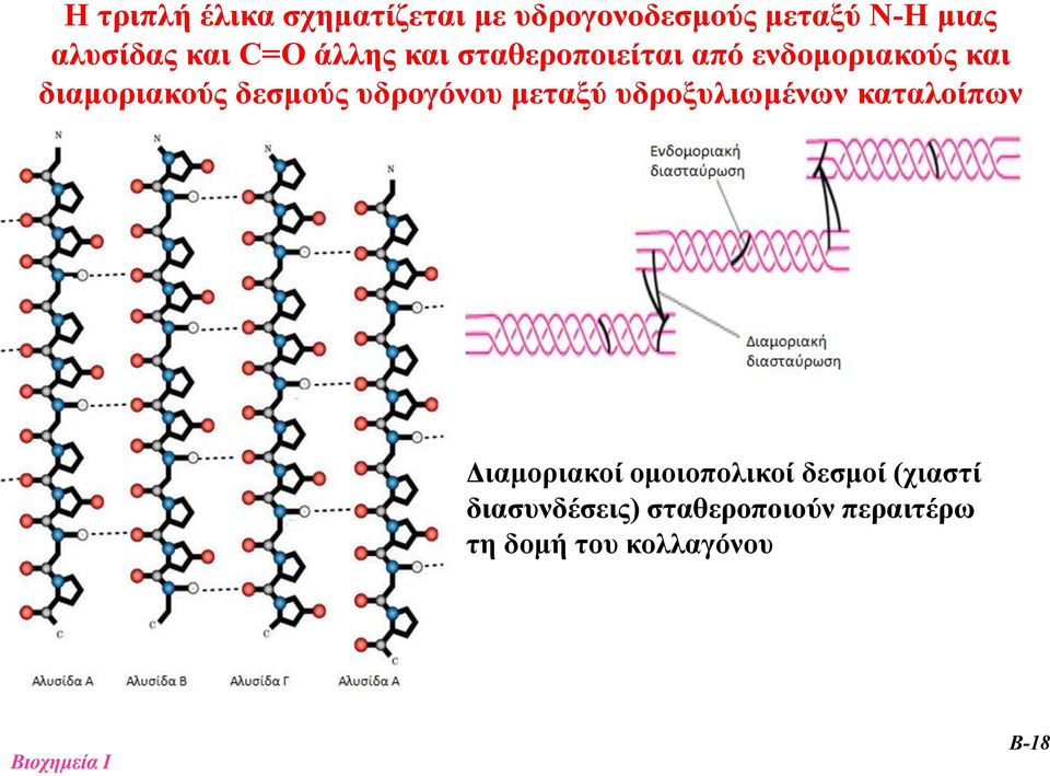 δεσμούς υδρογόνου μεταξύ υδροξυλιωμένων καταλοίπων Διαμοριακοί