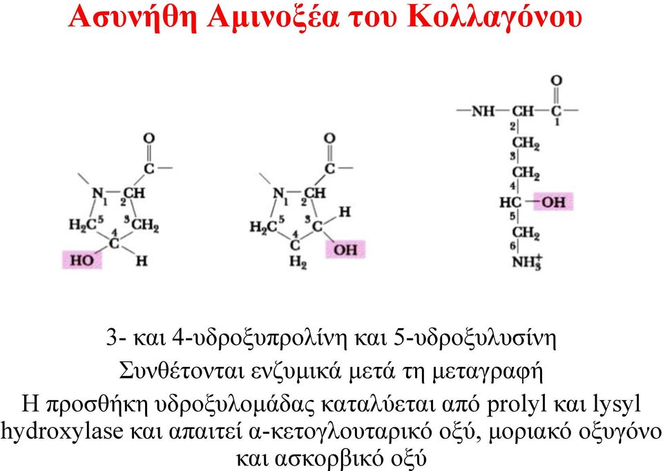 προσθήκη υδροξυλομάδας καταλύεται από prolyl και lysyl