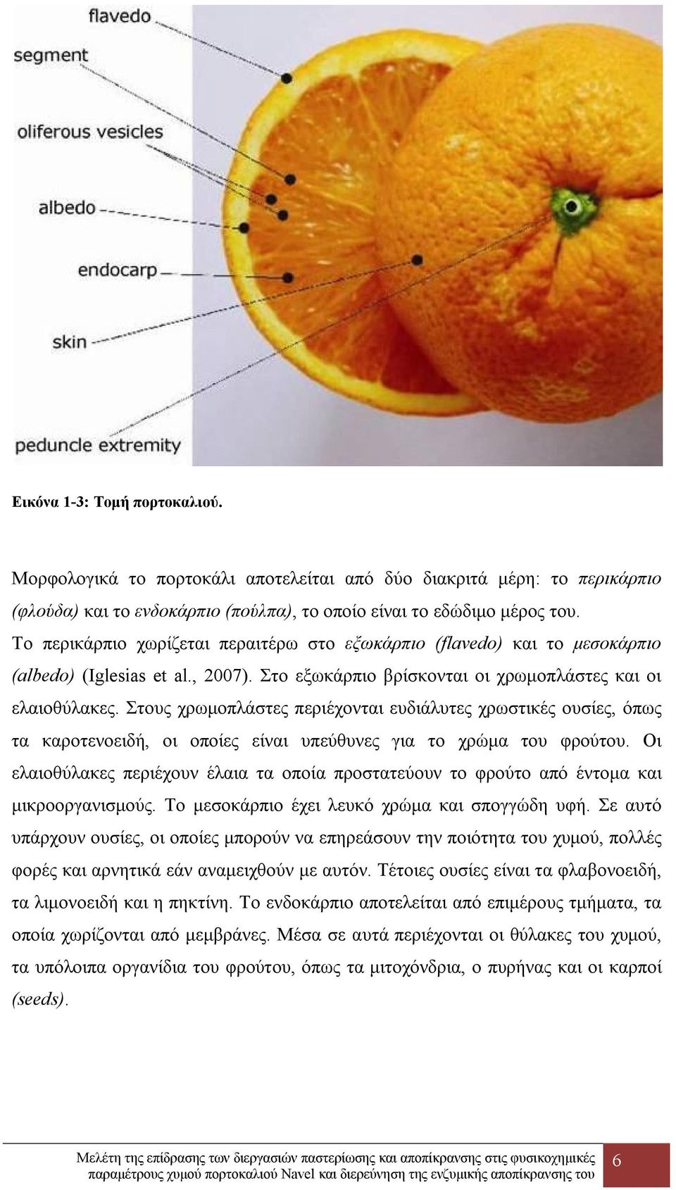 Στους χρωμοπλάστες περιέχονται ευδιάλυτες χρωστικές ουσίες, όπως τα καροτενοειδή, οι οποίες είναι υπεύθυνες για το χρώμα του φρούτου.