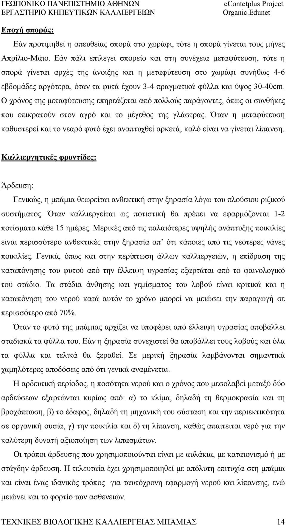 ύψος 30-40cm. Ο χρόνος της μεταφύτευσης επηρεάζεται από πολλούς παράγοντες, όπως οι συνθήκες που επικρατούν στον αγρό και το μέγεθος της γλάστρας.