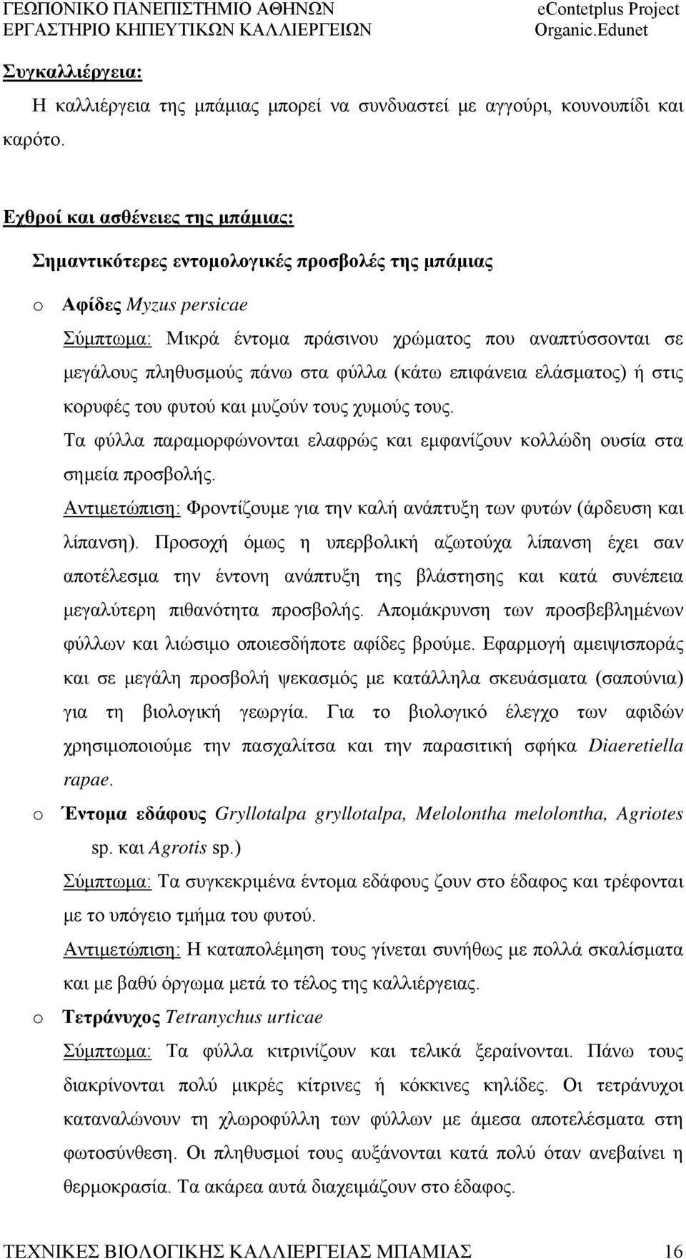 φύλλα (κάτω επιφάνεια ελάσματος) ή στις κορυφές του φυτού και μυζούν τους χυμούς τους. Τα φύλλα παραμορφώνονται ελαφρώς και εμφανίζουν κολλώδη ουσία στα σημεία προσβολής.