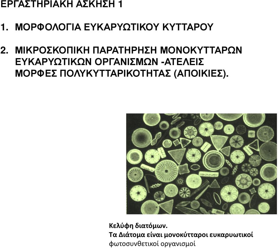 -ΑΤΕΛΕΙΣ ΜΟΡΦΕΣ ΠΟΛΥΚΥΤΤΑΡΙΚΟΤΗΤΑΣ (ΑΠΟΙΚΙΕΣ). Κελύφη διατόμων.